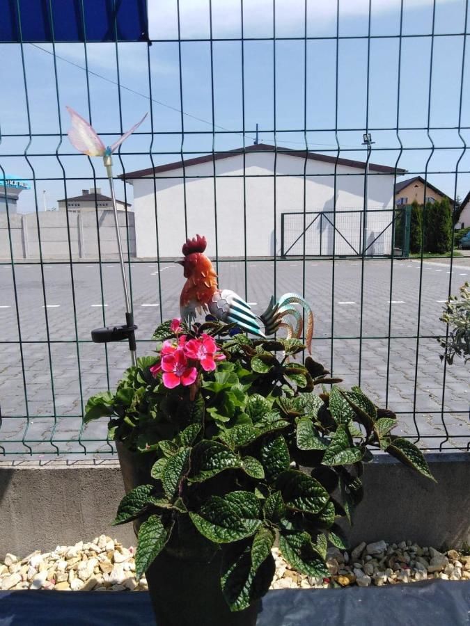 Апарт-отели Pod Kogucikiem Krzyżanowice-14